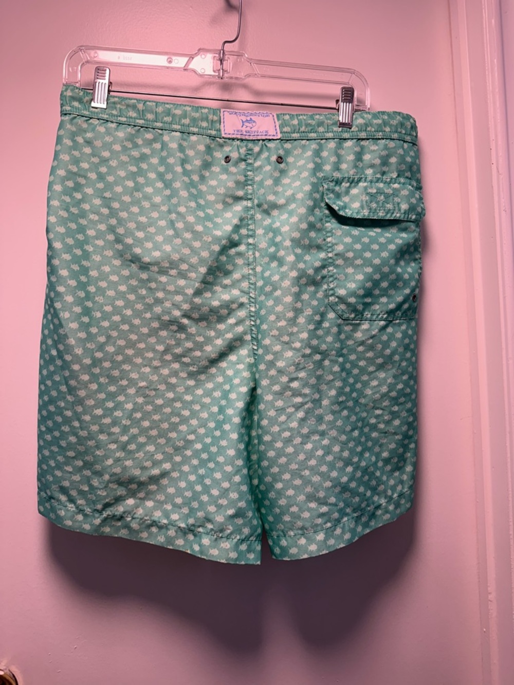 Men's Mint Green Patterned Swim Shorts